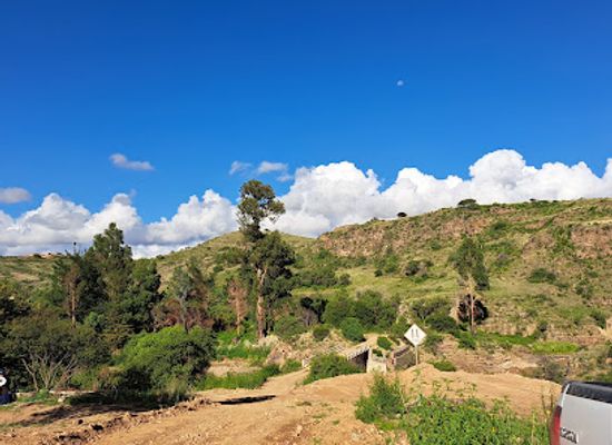 bolivia/cochabamba-valley/attraction/flor-de-pucara