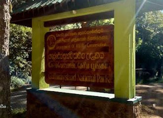 sri-lanka/nuwara-eliya/attraction/galway-s-land-national-park