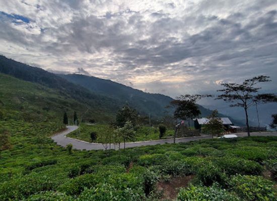 india/eastern-india/attraction/tinchuley