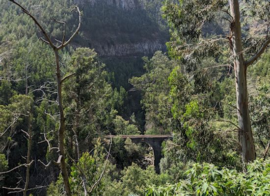 portugal/madeira/attraction/ponte-do-curral-dos-romeiros