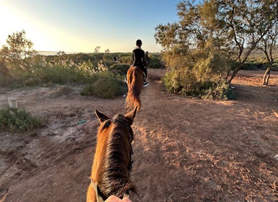 morocco/agadir/attraction/agadir-camel-horse-riding