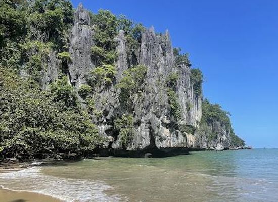 philippines/puerto-princesa/attraction/corazon-travel-tours