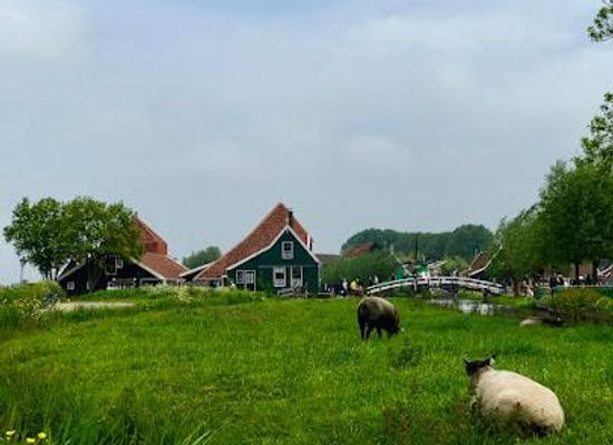 netherlands/zaanstreek/attraction/het-jonge-schaap-zaandam