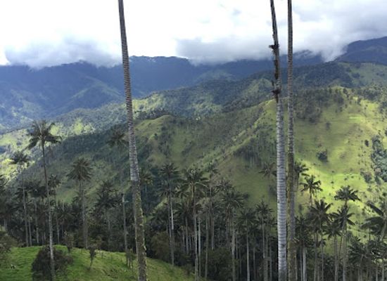 colombia/quindio-department/attraction/finca-de-don-elias