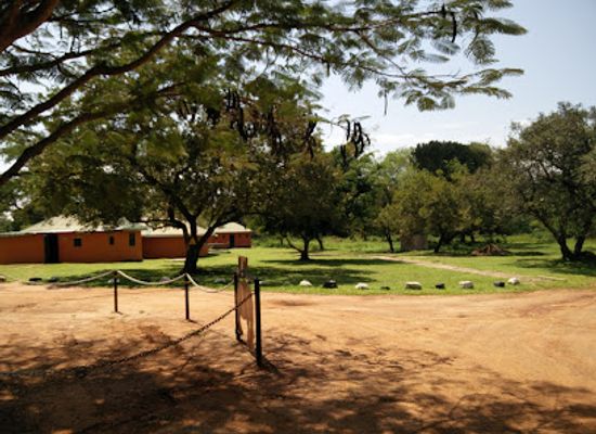 uganda/lango/attraction/ziwa-rhino-and-wildlife-ranch