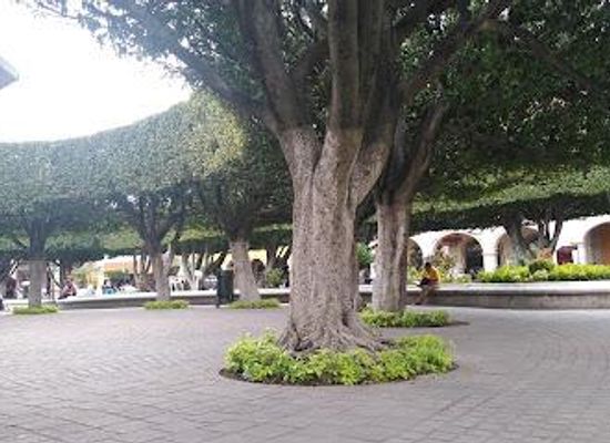 mexico/queretaro/attraction/principal-de-celaya-gto-garden