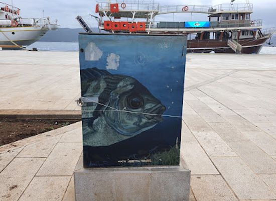 montenegro/moraca/attraction/bica-iz-mora-creatures-of-the-sea-by-jana-farkas