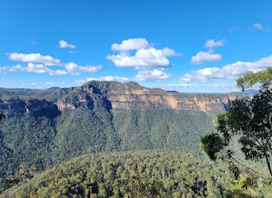 australia/blue-mountains-national-park/attraction/perrys-lookdown-to-blue-gum-forest-walking-track