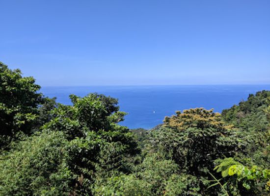 dominica/saint-andrew/attraction/scenic-viewpoint