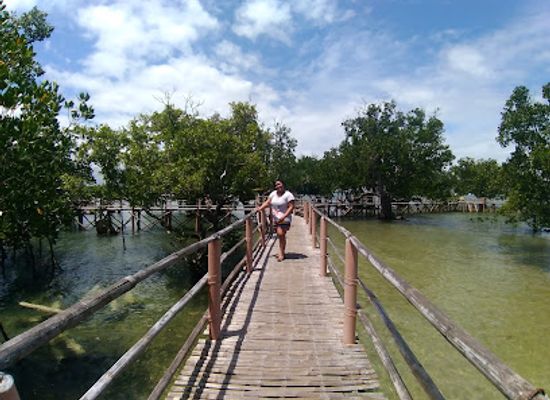 philippines/visayas/attraction/suyac-island-mangrove-eco-park