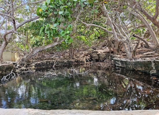 aruba/boca-catalina/attraction/fontein-cave