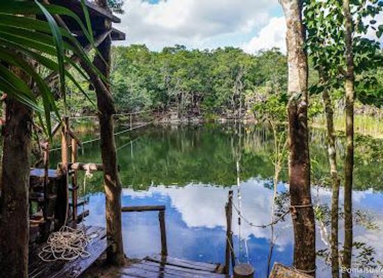 mexico/cancun/attraction/cenote-las-mojarras