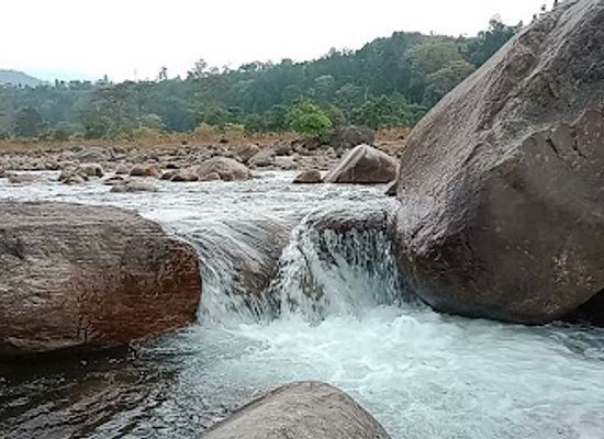 nepal/province-no-1/attraction/naxal-picnic-spot