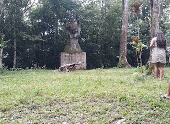 costa-rica/san-carlos/attraction/la-mano-de-dios