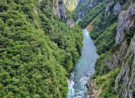 montenegro/piva/attraction/vidikovac-kanjon-tare-viewpoint-tara-canyon