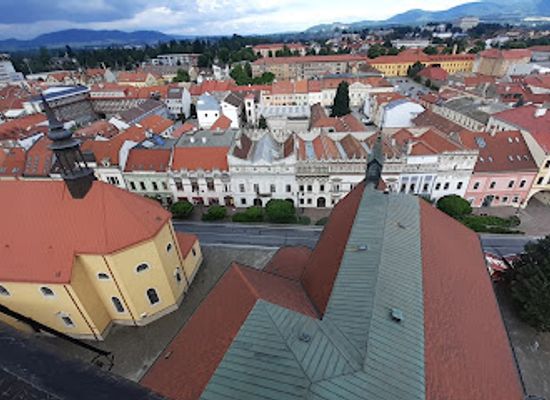 slovakia/presov-region/attraction/co-cathedral-of-saint-nicholas