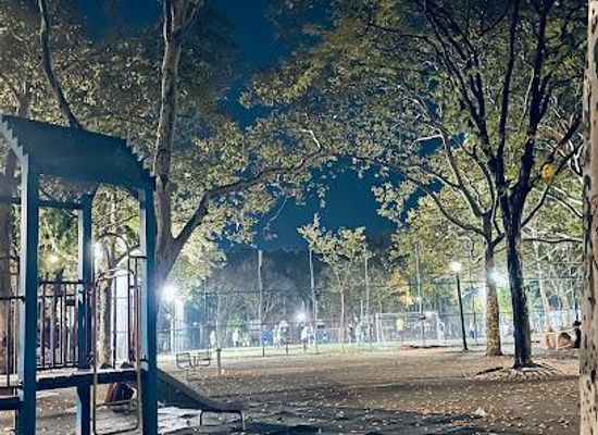 new-jersey/jersey-city/attraction/sara-d-roosevelt-park