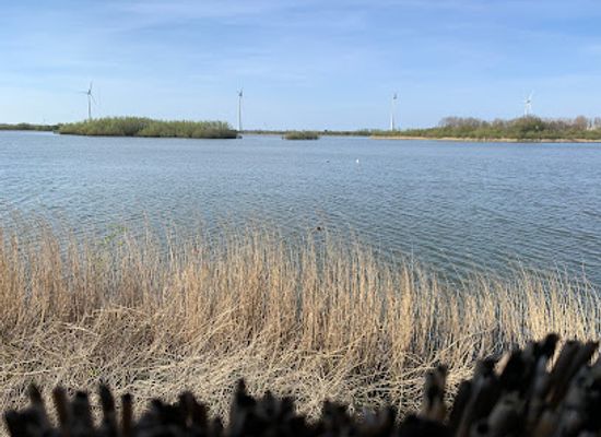 netherlands/flevoland/attraction/harderbroek-natuurmonumenten