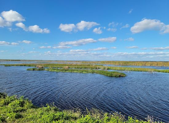 florida/nature-coast/attraction/lake-apopka-wildlife-drive