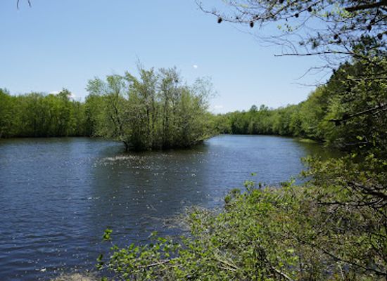maryland/eastern-shore/attraction/idylwild-natural-area