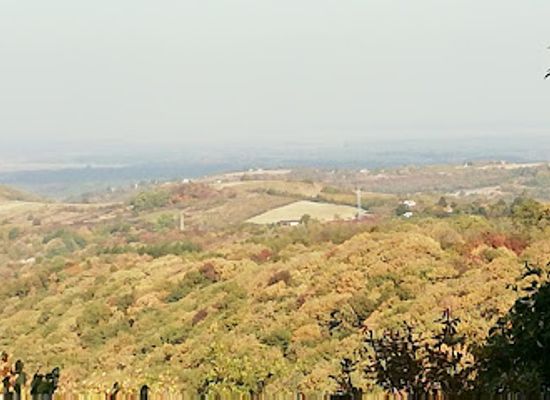 serbia/fruska-gora-national-park/attraction/strazilovo