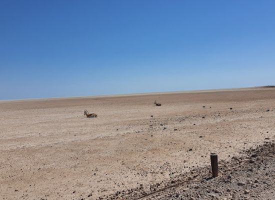 namibia/namib-desert/attraction/etosha-pan-lookout