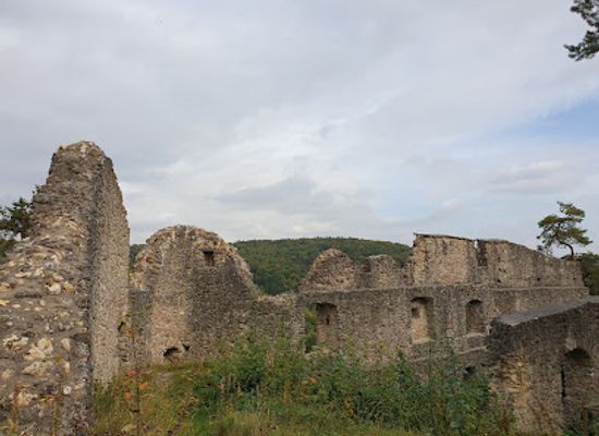 germany/upper-palatinate/attraction/burgruine-in-simmelsdorf