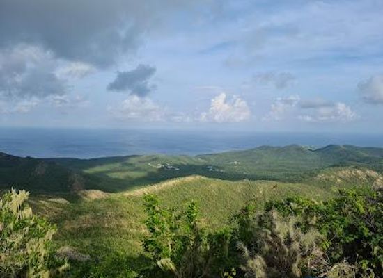 curacao/willemstad/attraction/christoffel-national-park