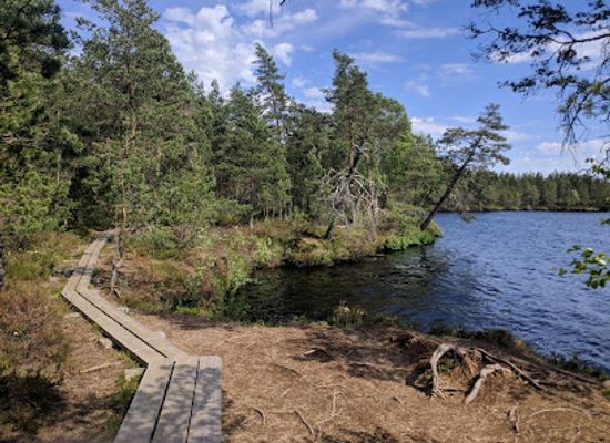 finland/karhunkierros-trail/attraction/kurjenrahka-national-park