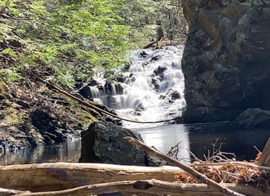 maine/biddeford/attraction/clifford-park