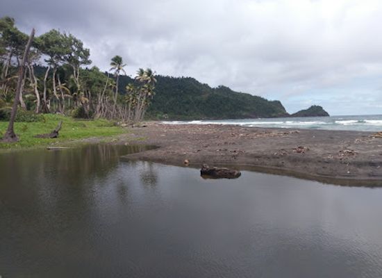 dominica/layou-river/attraction/turtle-beach