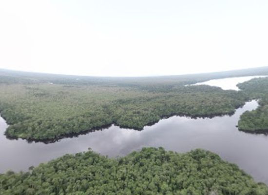 panama/ngabe-bugle-comarca/attraction/damani-guariviara