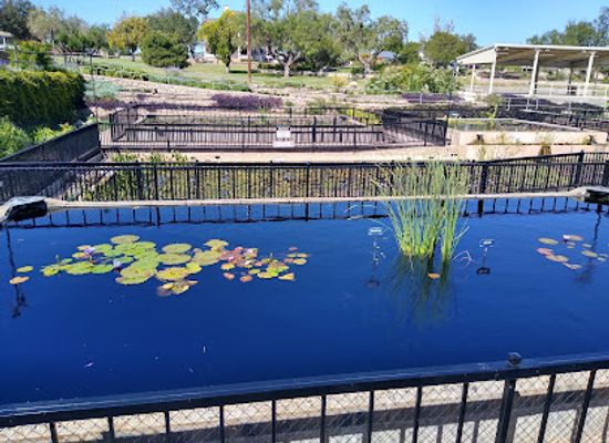 texas/san-angelo/attraction/international-waterlily-collection