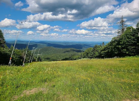 vermont/green-mountains-national-forest/attraction/coolidge-state-forest