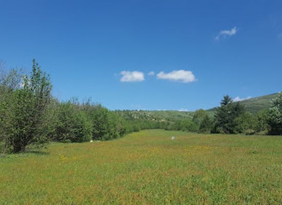 albania/luma/attraction/parku-i-pishave