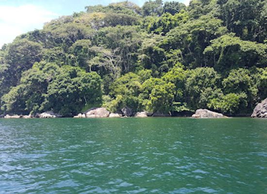 madagascar/masoala-national-park/attraction/nosy-mangabe