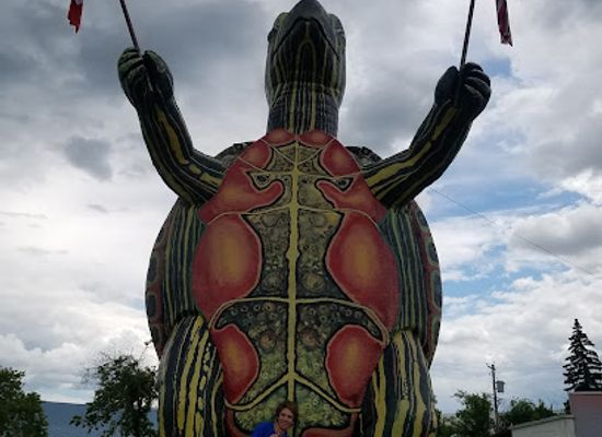 canada/western-manitoba/attraction/tommy-turtle