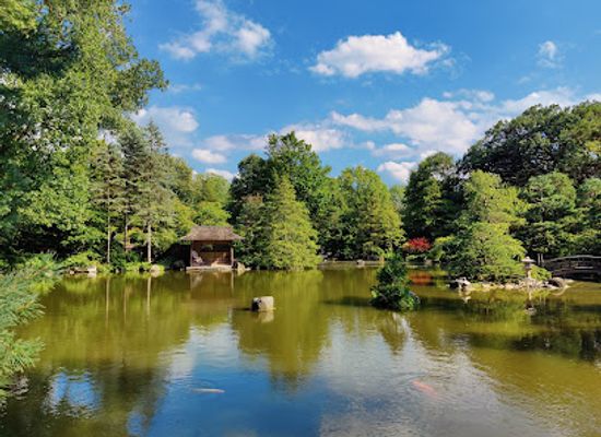 illinois/prairie-state/attraction/anderson-japanese-gardens