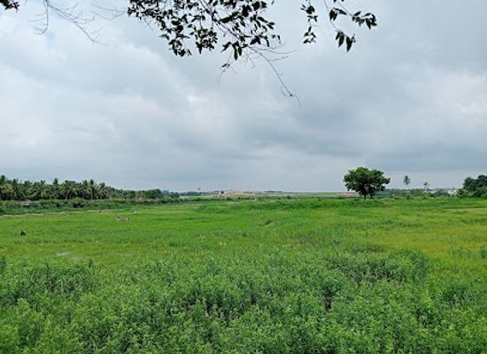 india/bhubaneswar/attraction/aircraft-view-point-bhubaneswar