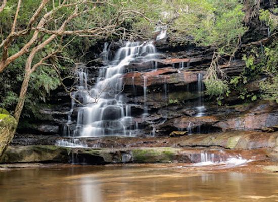 australia/central-coast/attraction/somersby-falls