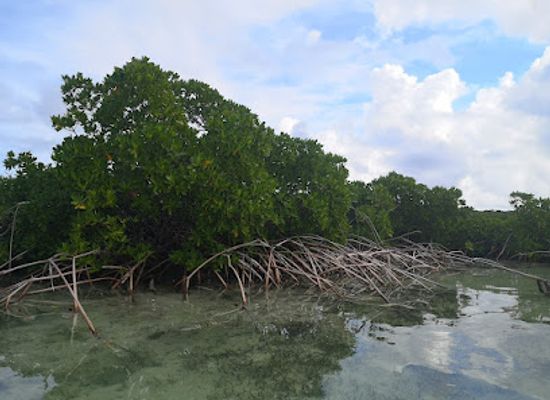 the-bahamas/san-salvador-island/attraction/pigeon-creek-national-park