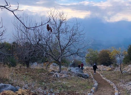 lebanon/al-shouf-cedar-nature/attraction/shouf-biosphere-reserve-jbaa-entrance