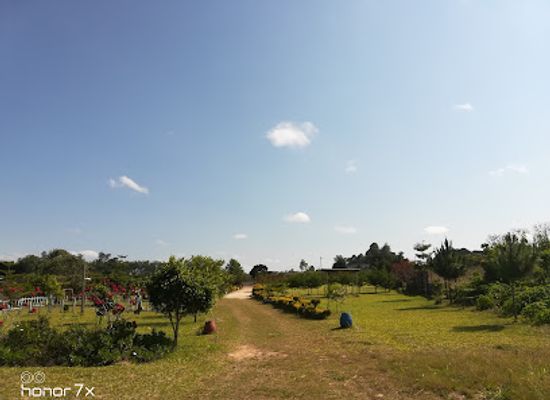 malawi/viphya-mountains/attraction/vitowe-events-garden