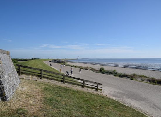 netherlands/wadden-islands/attraction/de-man
