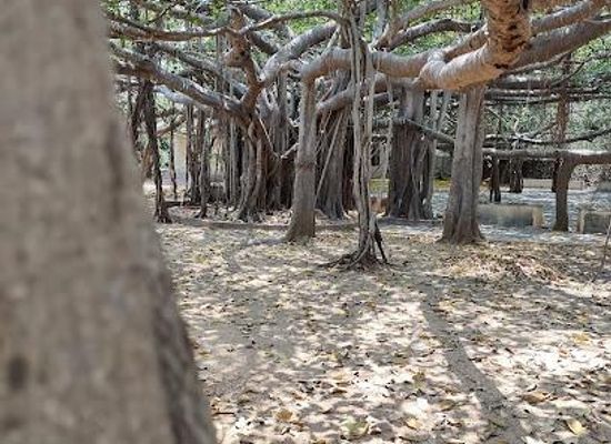 india/chennai/attraction/kalakshetra-foundation