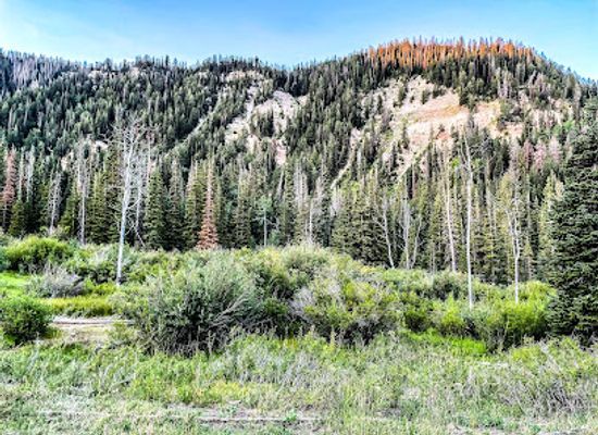 utah/great-basin/attraction/great-basin-station