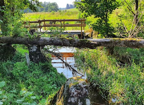 germany/monschau/attraction/hockerlinie-simmerath-westwall-siegfriedlinie