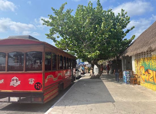 mexico/cozumel/attraction/the-cozumel-trolley-tour-co