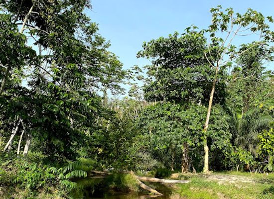 cote-d-ivoire/comoe-river/attraction/domaine-bini