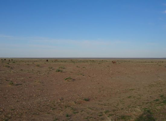 mongolia/eastern-steppe/attraction/khamariin-khiid-monastery
